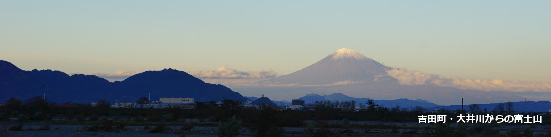 静岡あれこれ・ふるさと納税